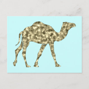 Carte Postale Camel Kamel