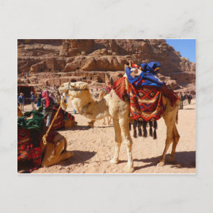 Carte Postale Camel Moyen-Orient Nature Animaux Destin Cadeaux