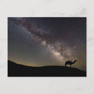 Carte Postale Camel Silhouette et Milkyway