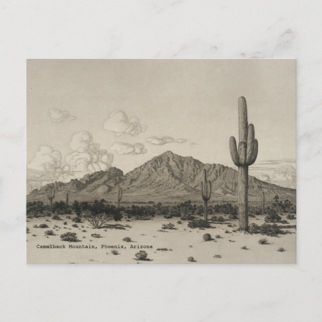 Carte Postale Camelback Mountain Saguaro Cactus noir et blanc (Devant)