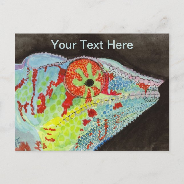 Carte Postale Caméléon (Devant)