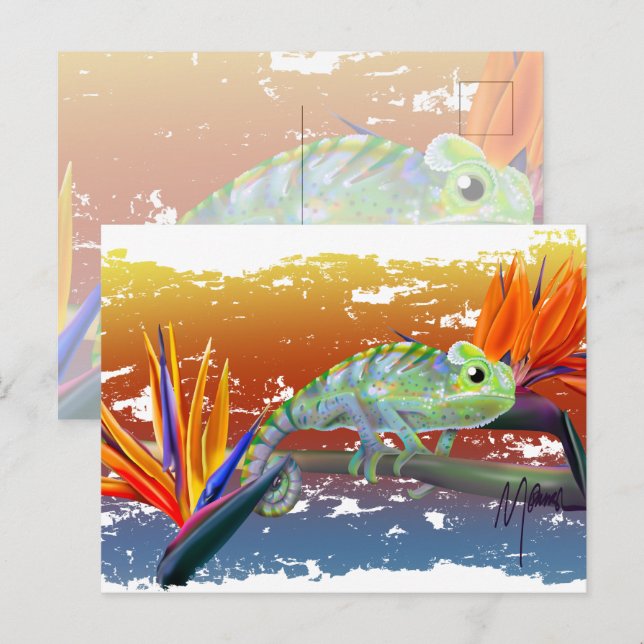 Carte Postale Caméléon  (Devant / Derrière)