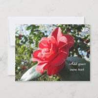 Camellia rouge rayonnante - Personnalisé