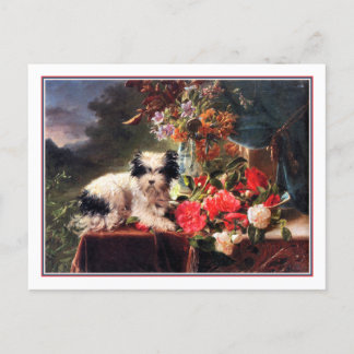 Carte Postale Camellias et Terrier
