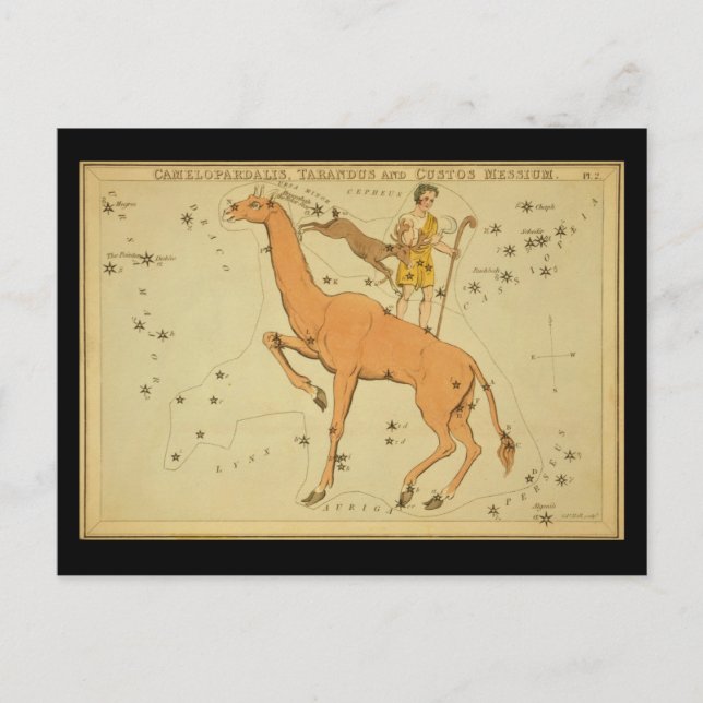Carte Postale Camelopardalis, Tarandus et Custos Messie (Devant)