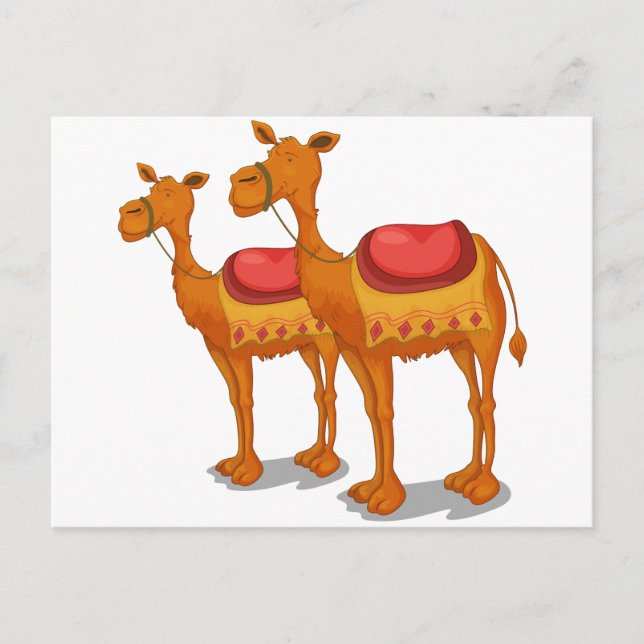 Carte Postale Camels (Devant)