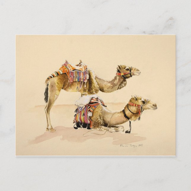 Carte Postale Camels de Petra 2007 (Devant)