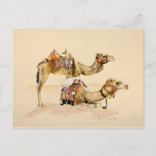 Carte Postale Camels de Petra 2007