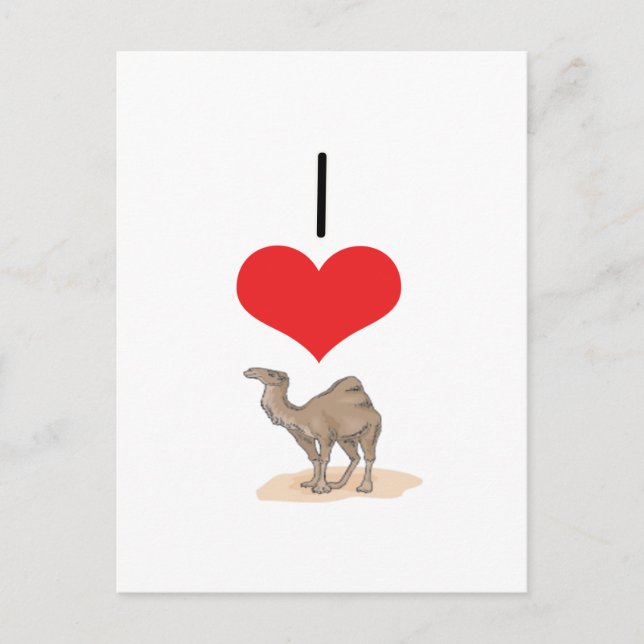 Carte Postale Camels I Heart (Love) (Devant)