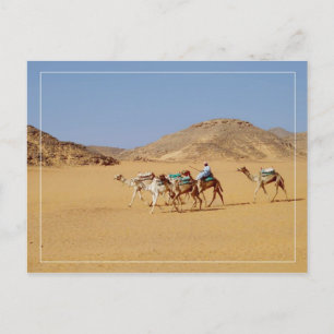 Carte Postale Camels près du temple Wadi El-Seboua, Egypte