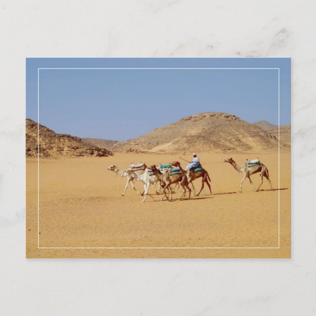 Carte Postale Camels près du temple Wadi El-Seboua, Egypte (Devant)