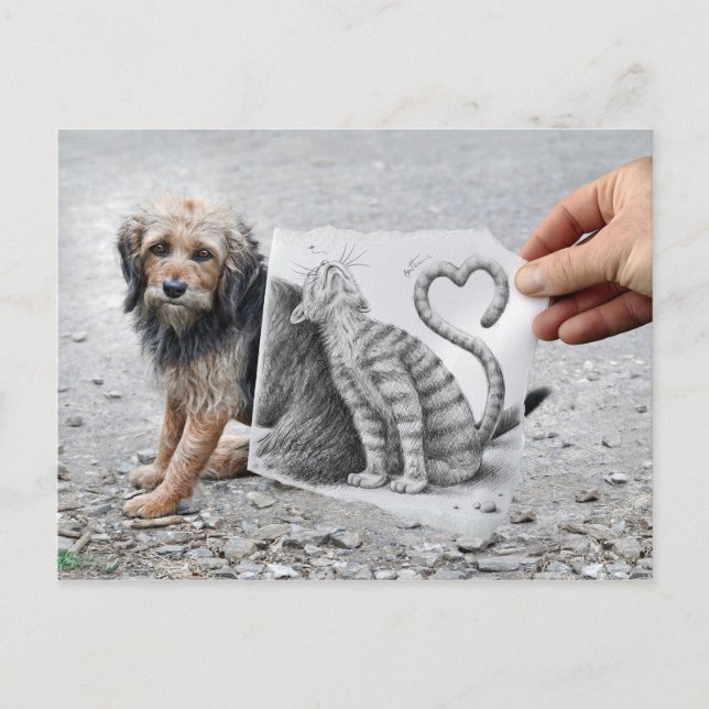 Carte Postale Caméra Crayon - Chien et Chat (Devant)