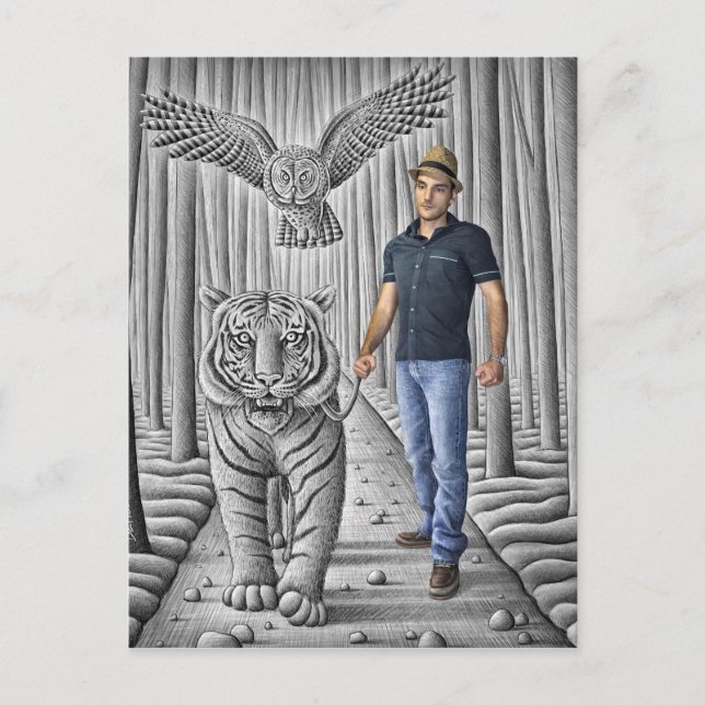 Carte Postale Caméra Crayon Vs - Tigre, Chouette, Homme (Devant)