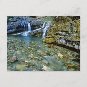 Carte Postale Cameron Falls dans le parc national Waterton Lakes