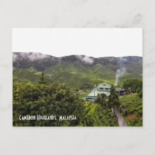 Carte Postale Cameron Highlands plantation de thé, Malaisie