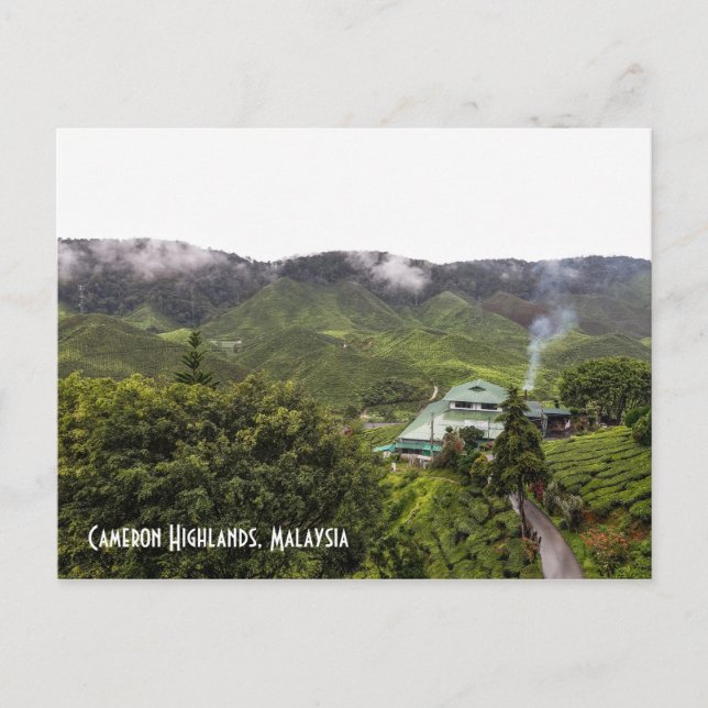 Carte Postale Cameron Highlands plantation de thé, Malaisie (Devant)