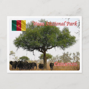 Carte Postale Cameroun - Parc national Wasa -
