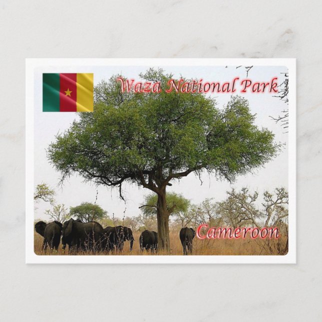 Carte Postale Cameroun - Parc national Wasa - (Devant)
