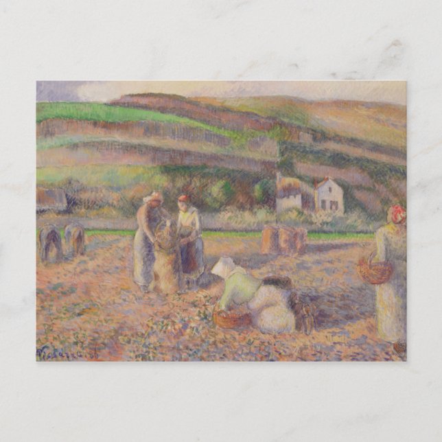 Carte Postale Camille Pissarro | La Récolte De Pommes De Terre (Devant)