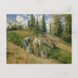 Carte Postale Camille Pissarro   La récolte, Pontoise