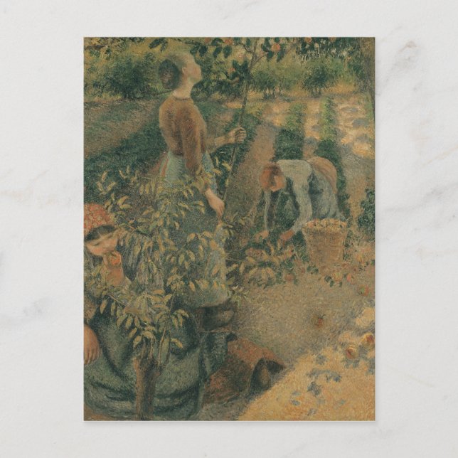Carte Postale Camille Pissarro | The Apple Pickers, 1886 (Devant)