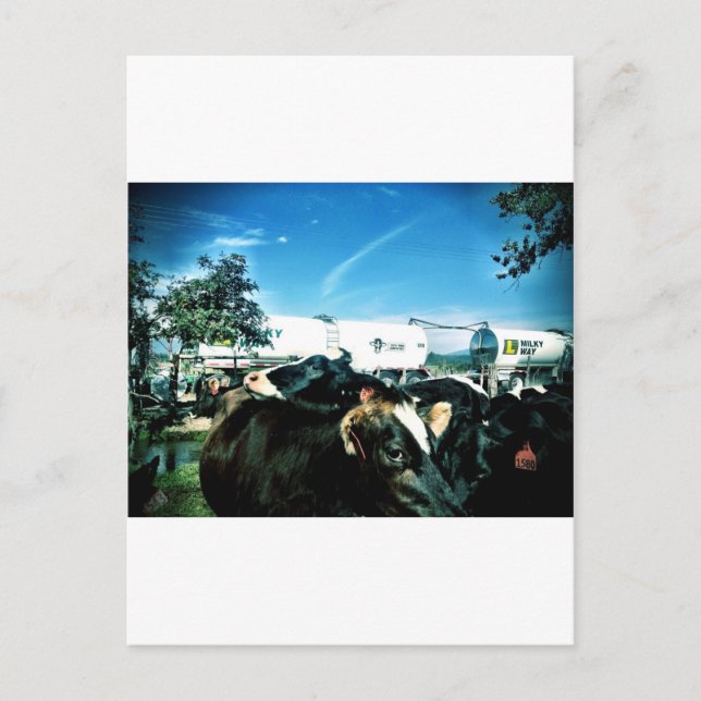 Carte Postale camion-lait (Devant)