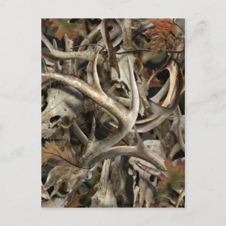 Carte Postale Camo Deer Skulls