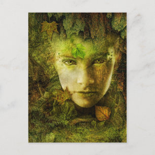 Carte postale Camouflage