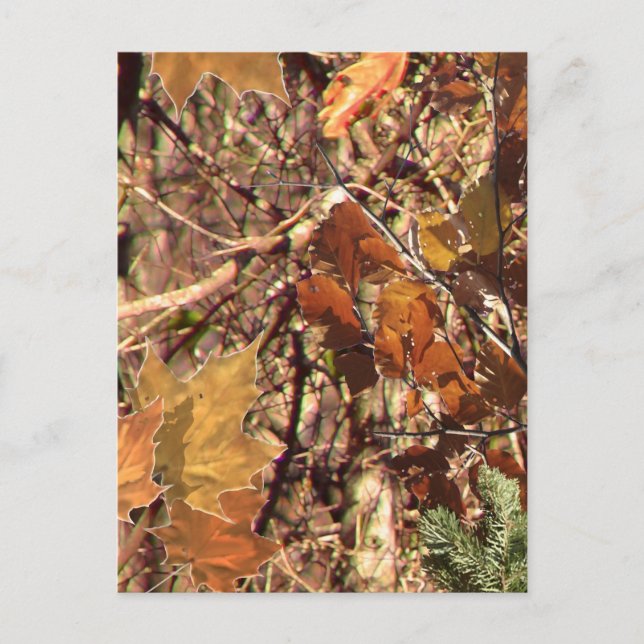 Carte Postale Camouflage de buisson de forêt d'automne (Devant)