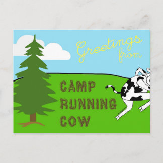 Carte Postale Camp Running Cow - Postcard