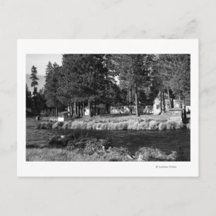 Carte Postale Camp Sherman, Oregon vue des Cabines de Rogers