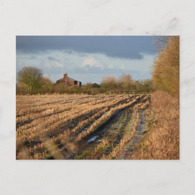 Carte Postale Campagne (Devant)