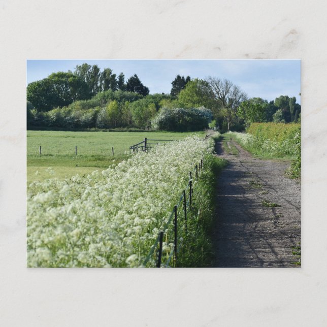 Carte Postale Campagne (Devant)