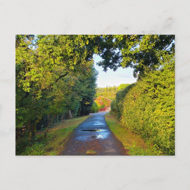 Carte Postale Campagne (Devant)