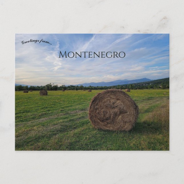 Carte Postale Campagne à Podgorica Montenegro (Devant)
