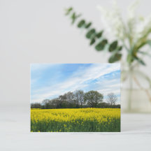 Campagne britannique