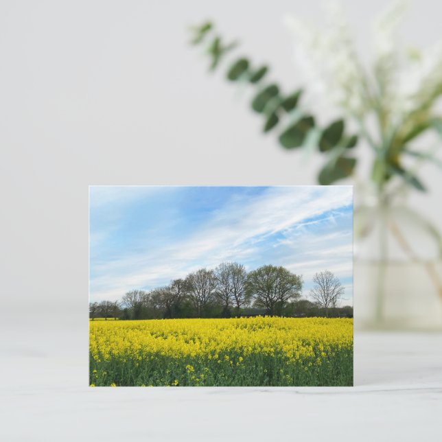 Carte Postale Campagne britannique (Debout devant)