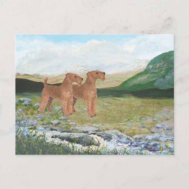 Carte Postale Campagne de Connemara (Devant)
