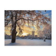 Campagne d'hiver en Lettonie