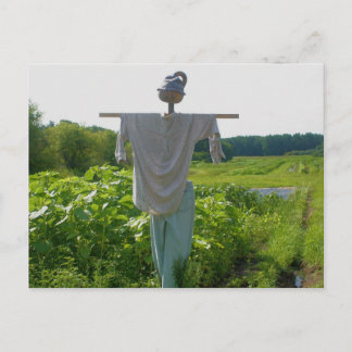 Carte Postale Campagne Jardin Scarecrow Nature