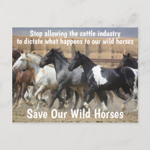 Carte Postale Campagne Sauvez nos chevaux sauvages