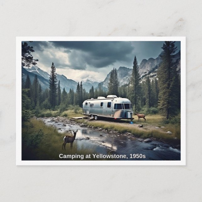 Carte Postale Camping à Yellowstone 1950s Scene (Devant)