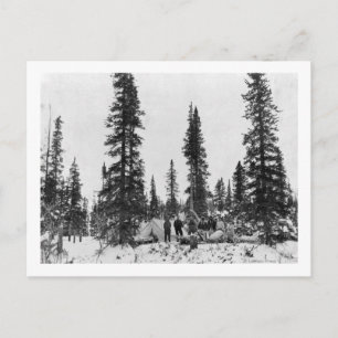 Carte Postale Camping sous la neige au nord du cercle arctique