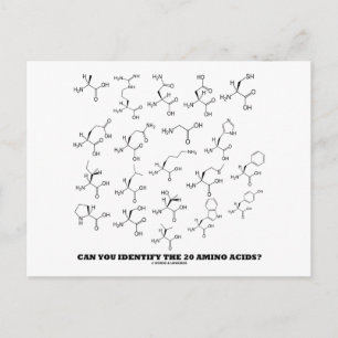 Carte Postale Can You Identify The 20 Amino Acids ? (Chemistry)