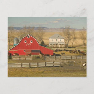 Carte Postale Canada, Alberta, Pincher Creek : grange rouge et r