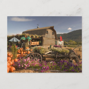 Carte Postale CANADA, Colombie-Britannique, Enderby. Grange de r