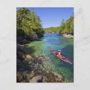 Carte Postale Canada, Colombie-Britannique, île de Vancouver. Me