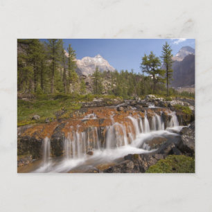 Carte Postale Canada, Colombie-Britannique, parc national de Yoh