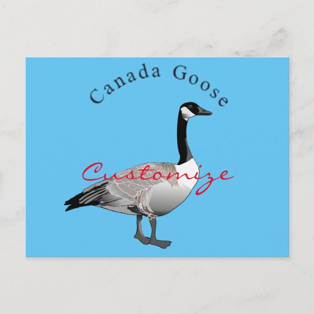 Carte Postale Canada Goose (Devant)