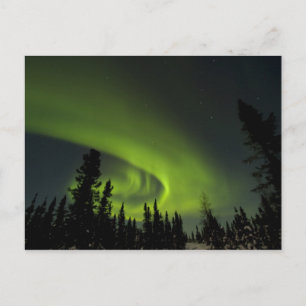 Carte Postale Canada, Manitoba. Vue de l'aurore boréale et